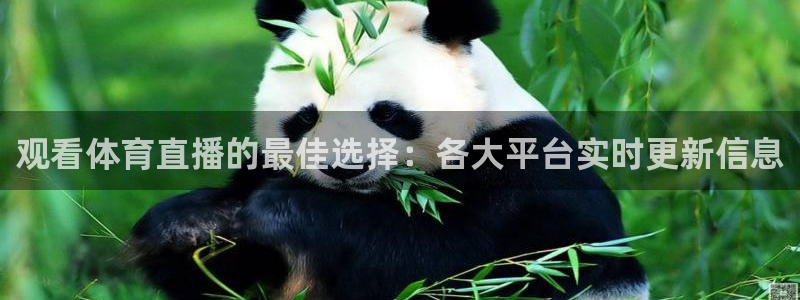 河豚体育赛事直播