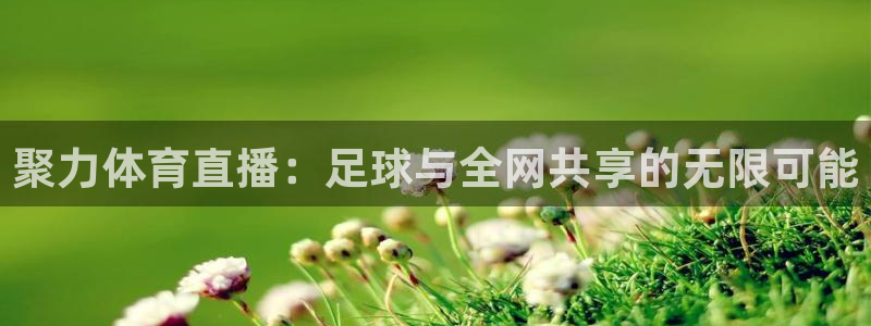 河豚直播看球app下载最新版