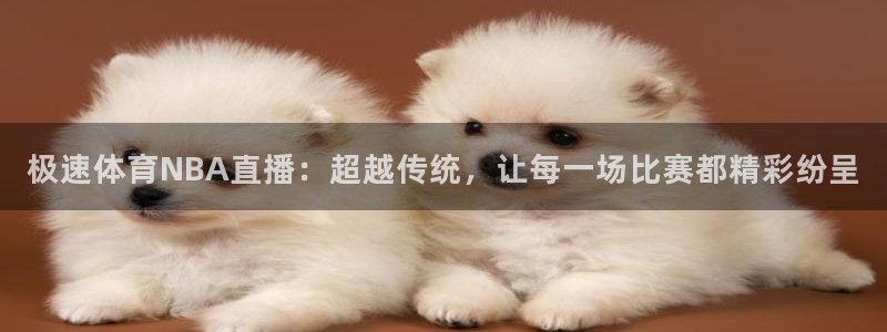 河豚足球直播网