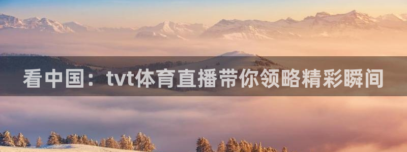 体育新闻