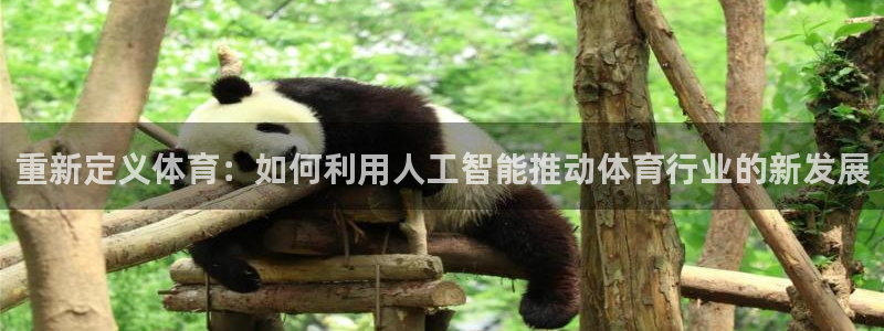 体育新闻