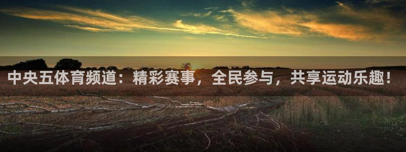 体育新闻
